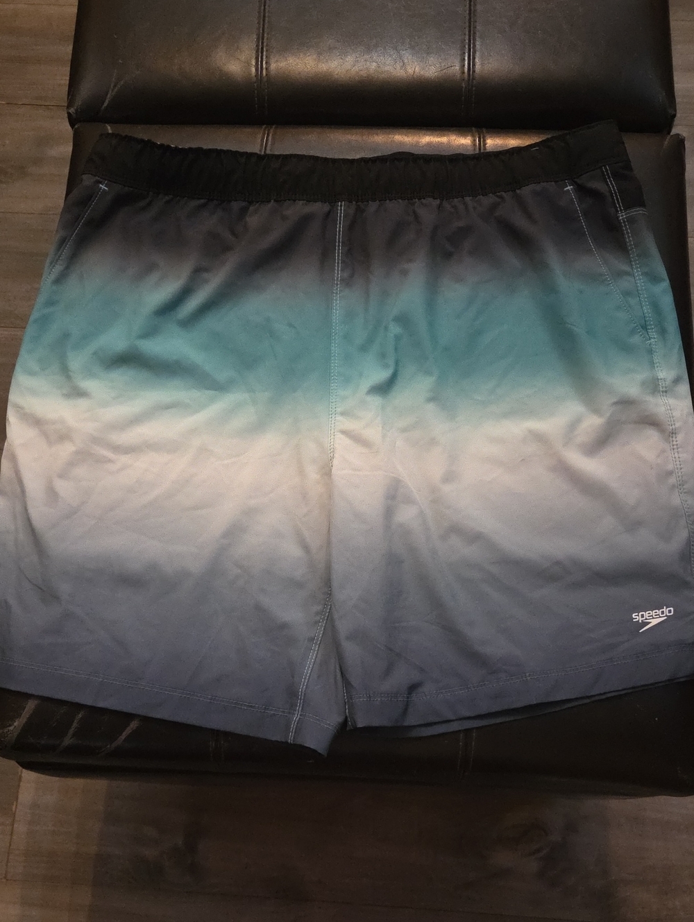 Speedo Men's Gradient Teal to Navy Swim Trunks